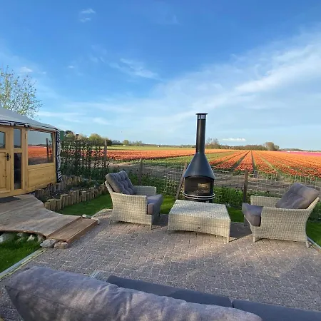 Basic Luxury Yurt *