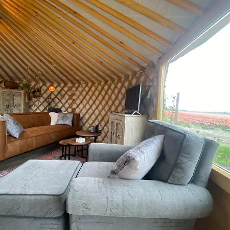 Basic Luxury Yurt 럭셔리텐트 *